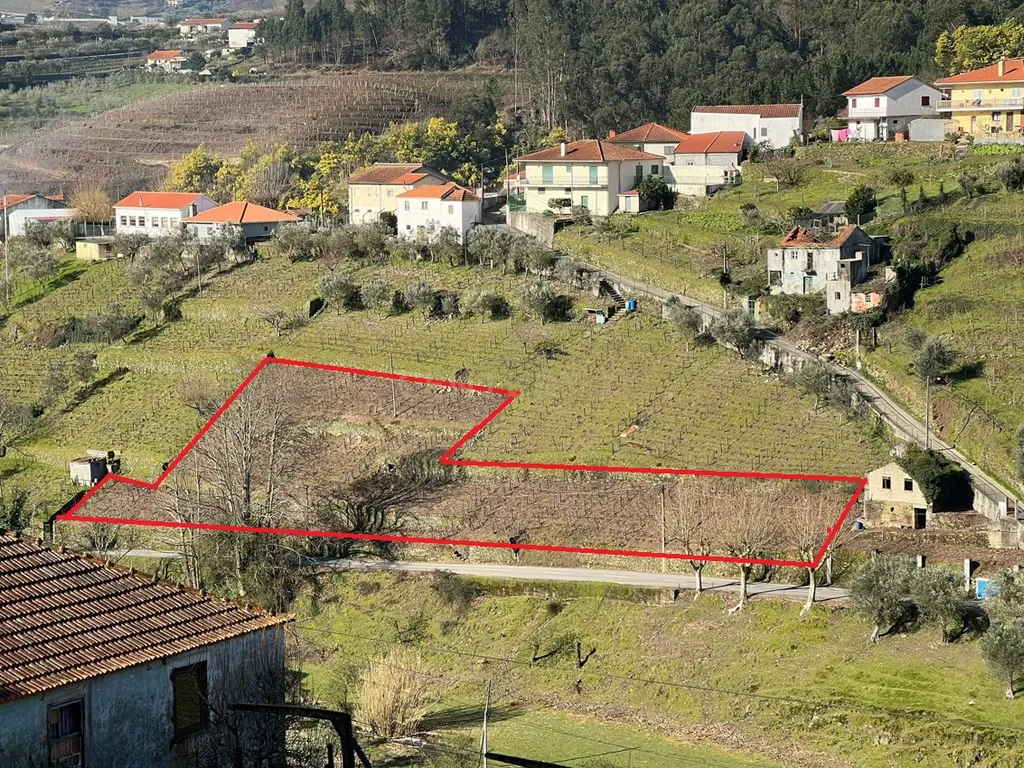 Douro Vinhateiro - Terreno com projeto arquitetura aprovado - Image 1
