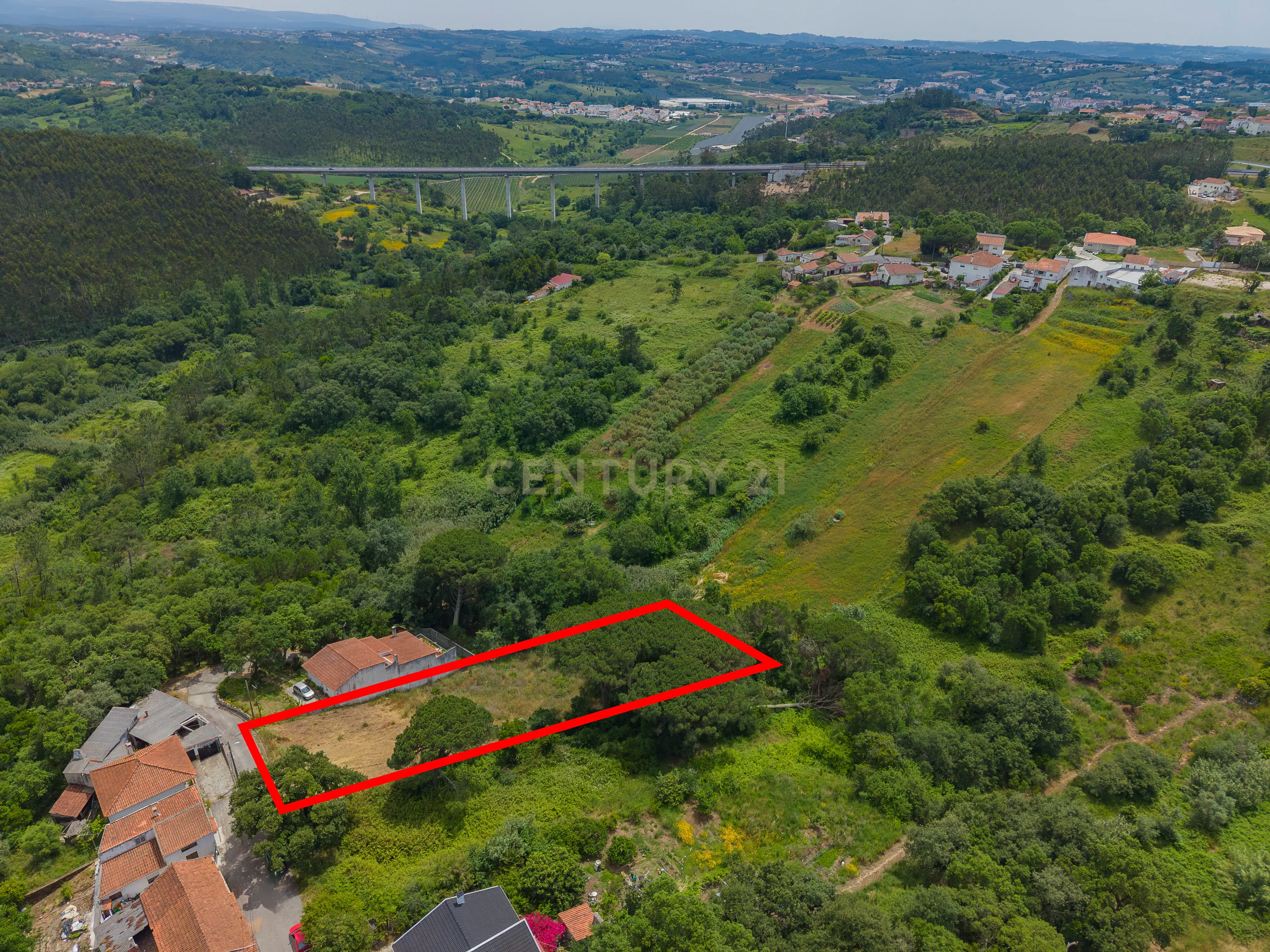 Fotografia 6 de Terreno com 2.705 m² na Boavista, Alcobaça