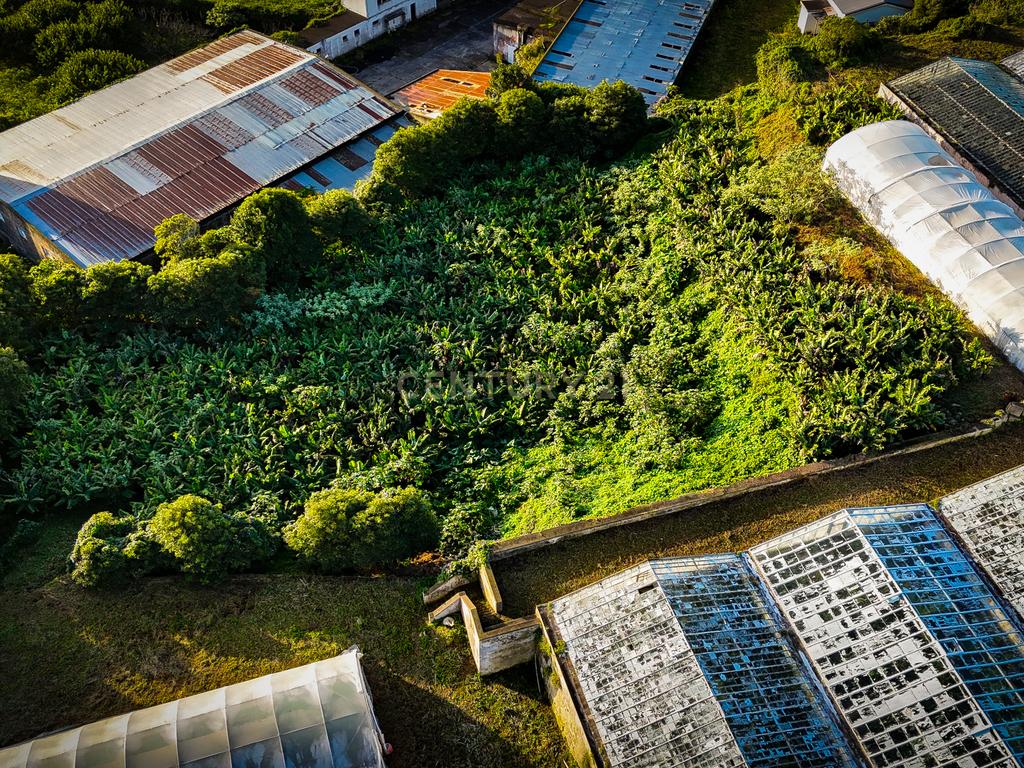 Propriedade Única com Estufas de Ananases e Potencial Urbano — Abelheira de Baixo, São Roque - Açores - Image 25