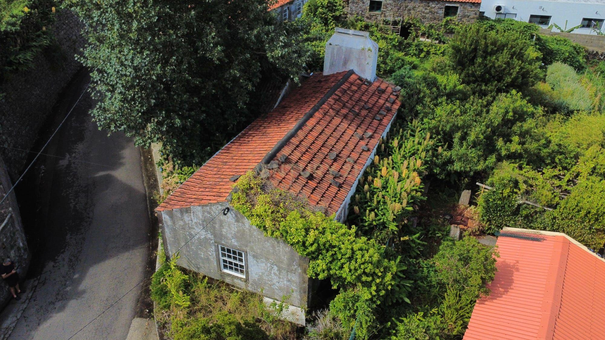 Fotografia 12 de Imóvel com Projeto Aprovado | Fazenda, Santa Cruz das Flores