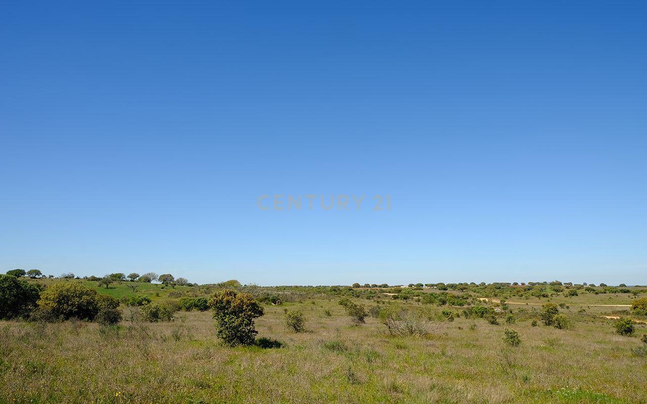 Fotografia 6 de Terreno Misto em Monsaraz, Reguengos de Monsaraz