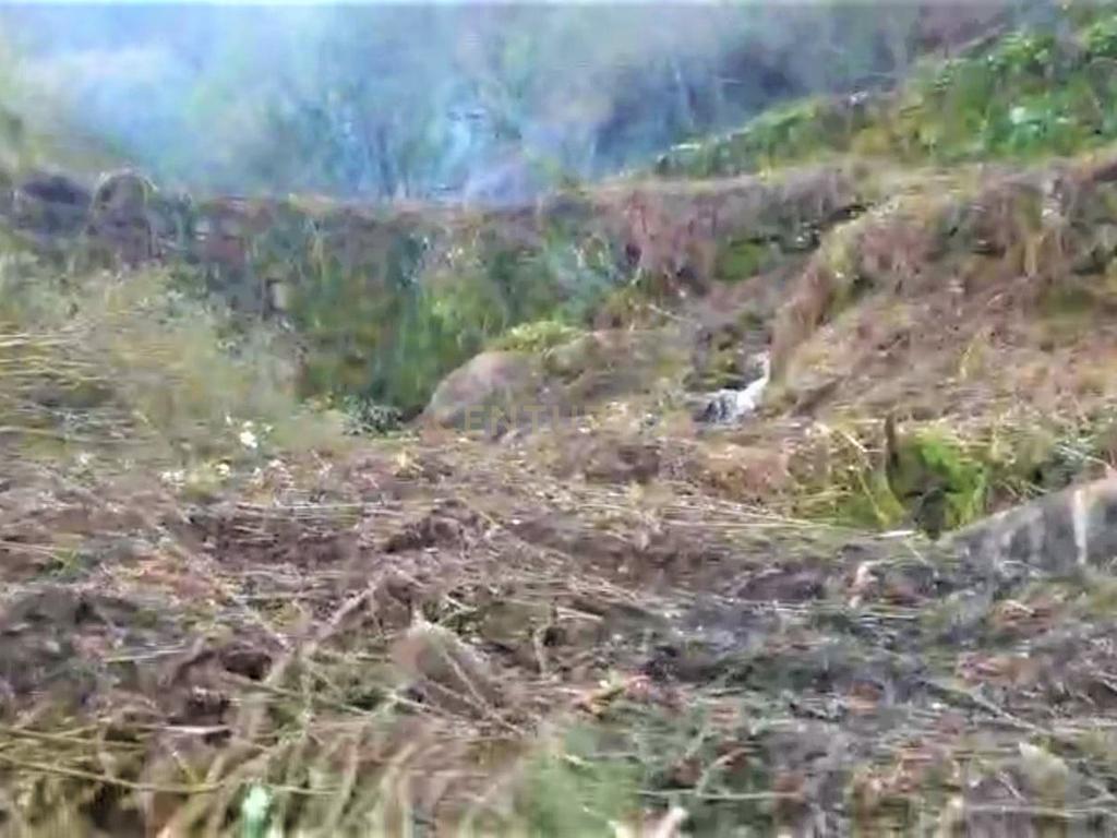 Quinta com moradia em Gondar, perto da Amarante, Porto à face da estrada com muito terreno e água - Image 37