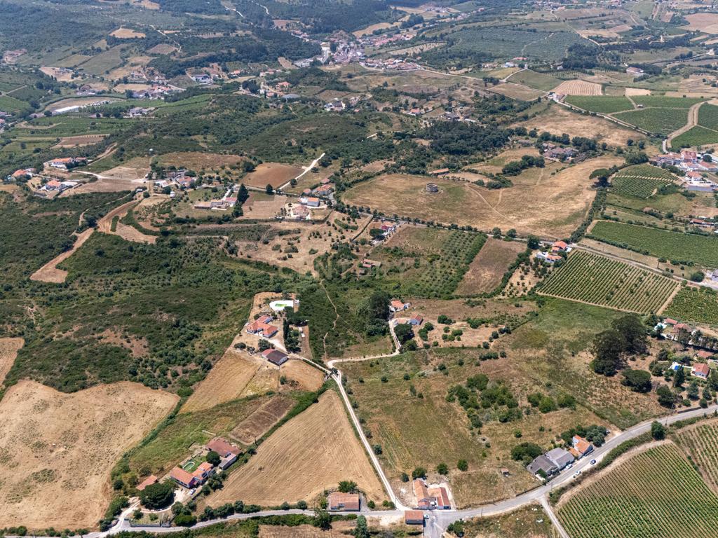 Oportunidade Única de Investimento em Terreno com Potencial Agrícola e Urbanizável – Canhestro 14.960 m². - Image 10