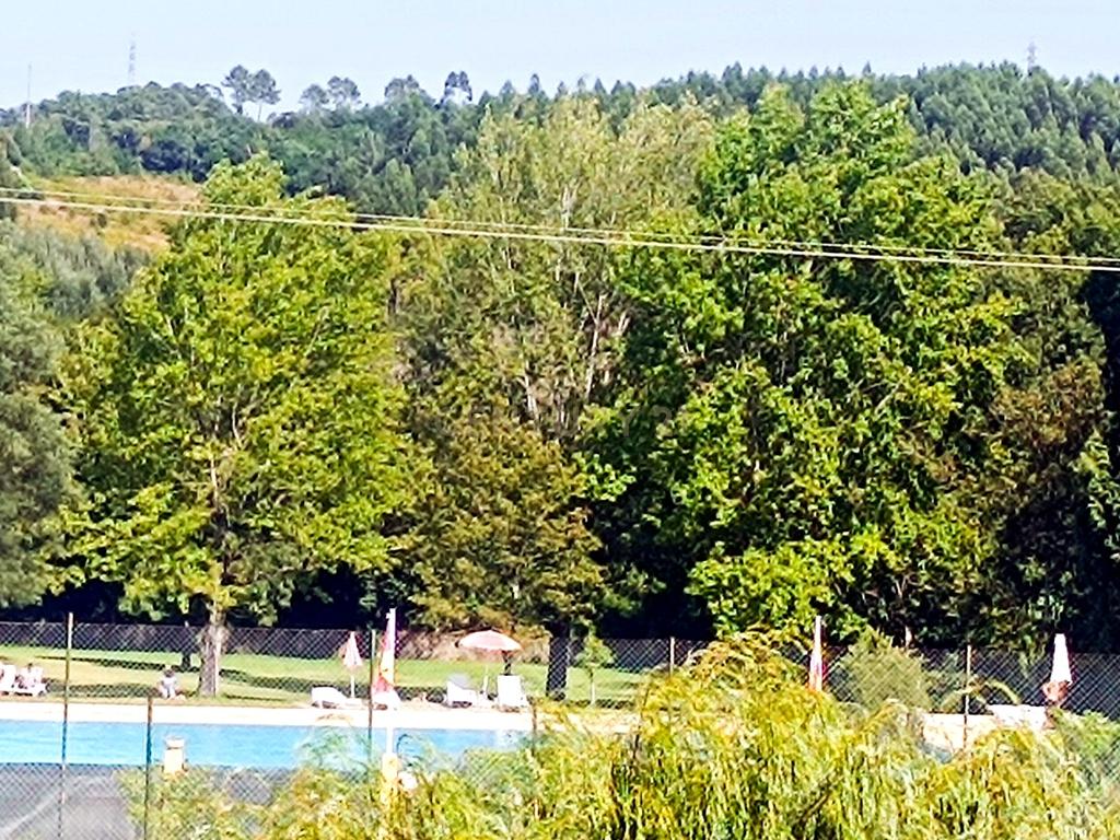 Arrendamento t1 Novo na Cúria - Image 13