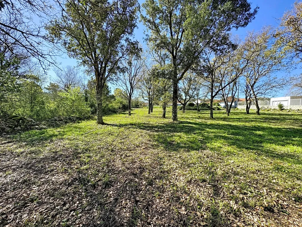 O lugar ideal para construir em plena natureza – Alcobaça - Image 21