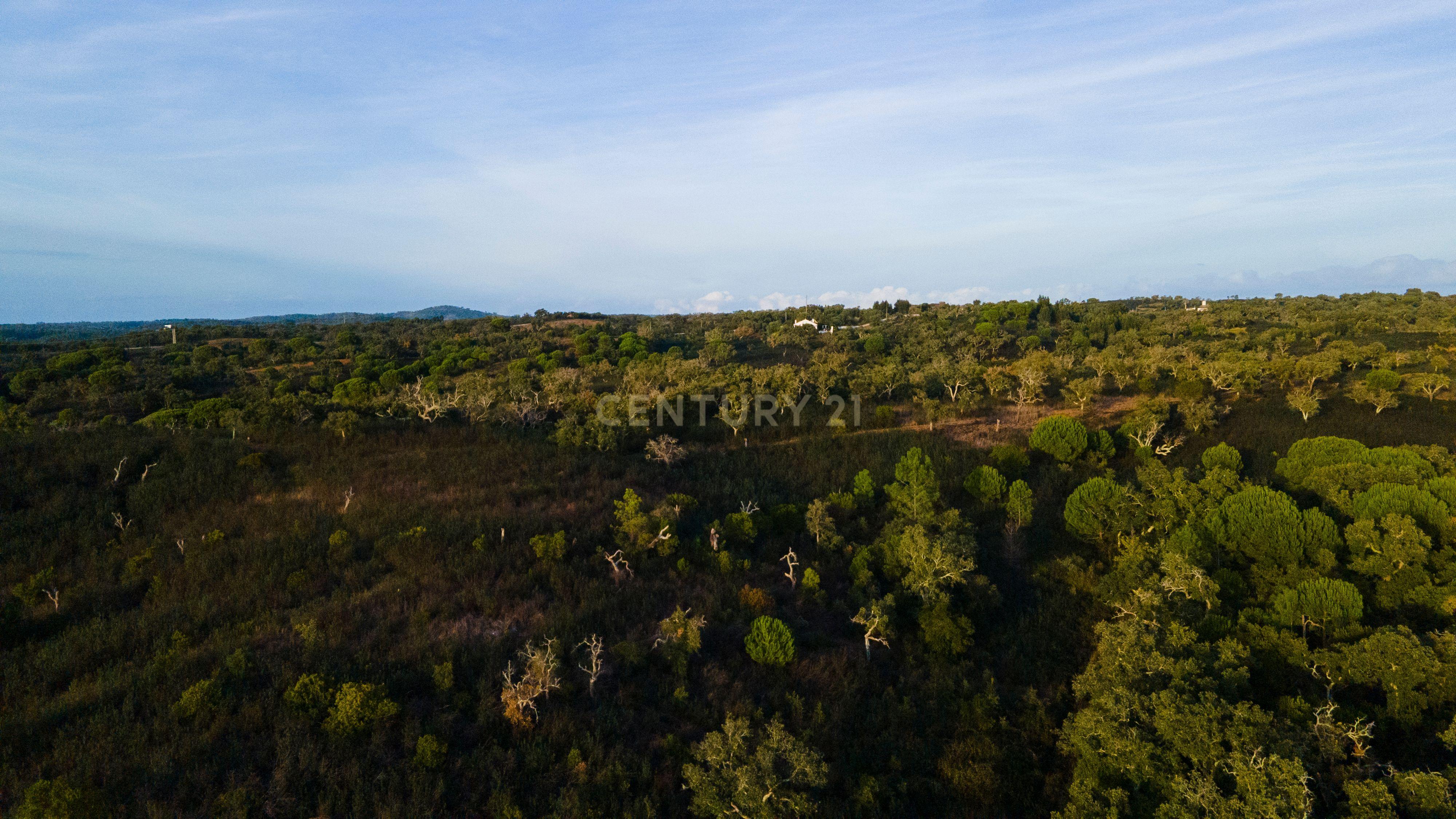 Fotografia 6 de Terreno único com vista mar e elevado potencial para Hotel Rural na Costa Alentejana - Santiago do Cacém