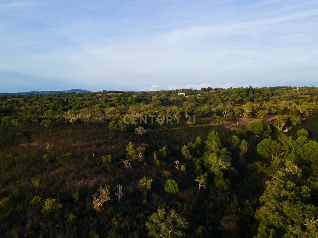 Terreno único com vista mar e elevado potencial para Hotel Rural na Costa Alentejana - Santiago do Cacém - Image 6