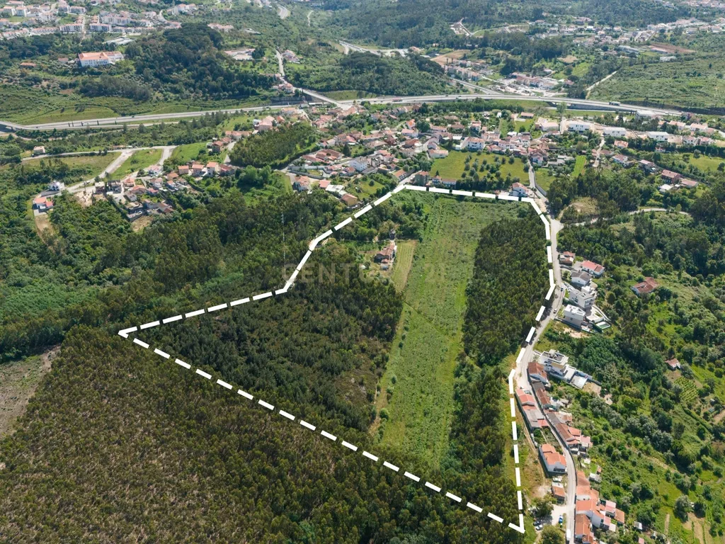 Quinta com 8 hectares com potencial para construção – Antanhol - Coimbra - Image 10