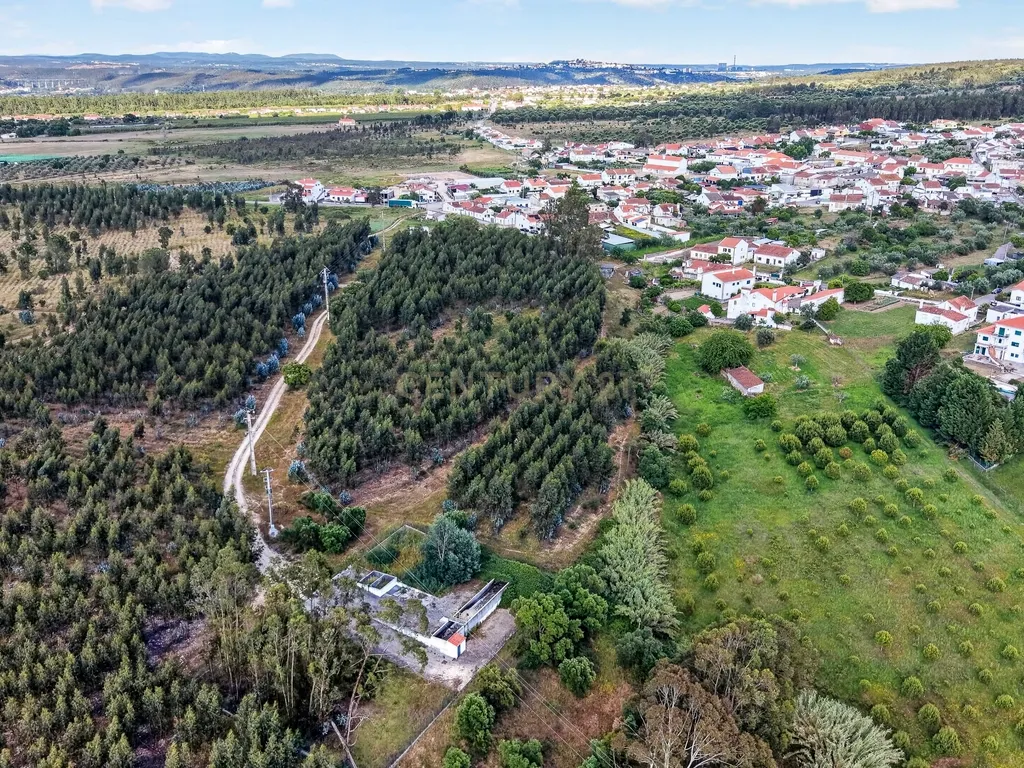 Encantadora Moradia em Tramagal, Abrantes - 5 Quartos - Image 34