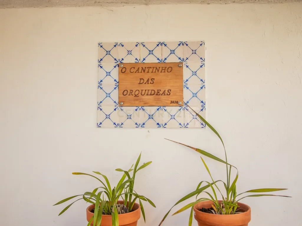 Casa antiga para recuperar com terreno e árvores de fruto, Alhadas, Figueira da Foz. - Image 31