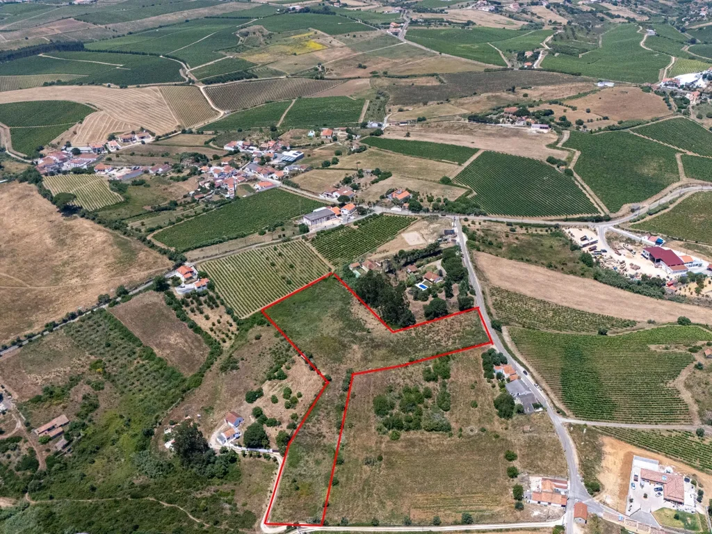 Oportunidade Única de Investimento em Terreno com Potencial Agrícola e Urbanizável – Canhestro 14.960 m². - Image 1