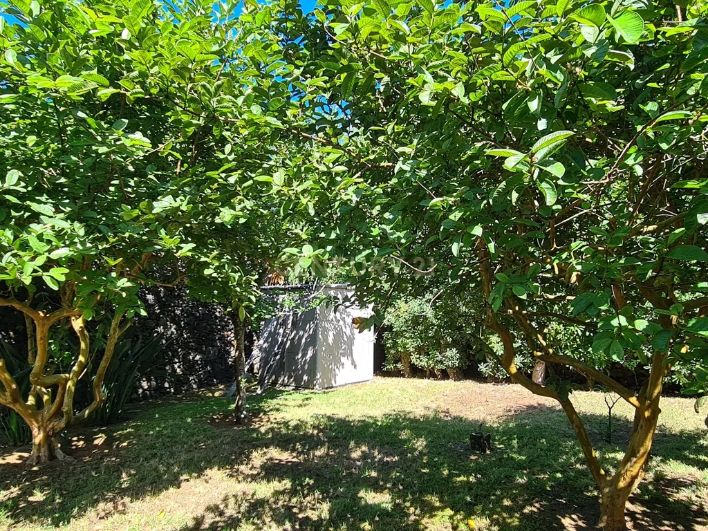 Country House em São Miguel, Açores: Refúgio Privado de Charme com piscina e quinta - Image 82