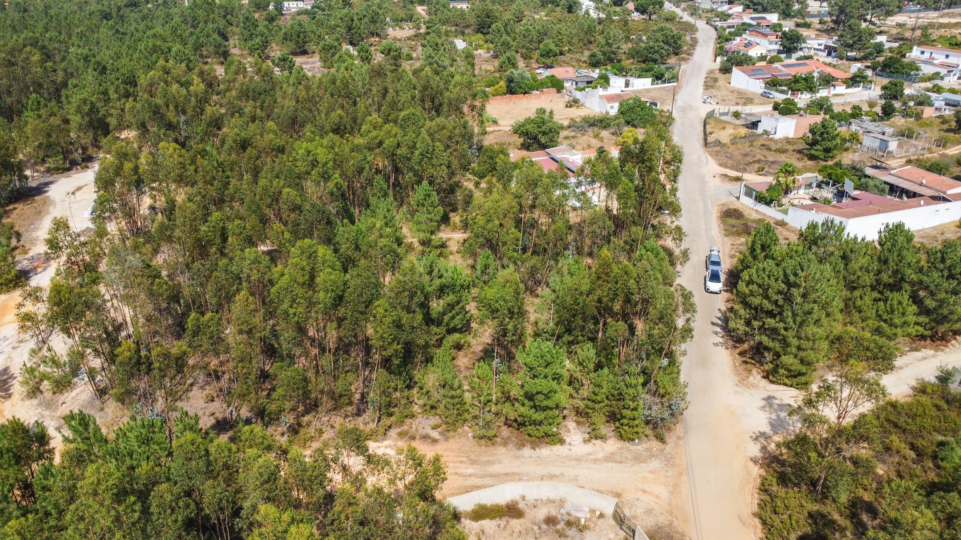 Fotografia 8 de Lote de Terreno com Elevado Potencial de Construção – Herdade do Pinhal das Formas, Quinta do Anjo