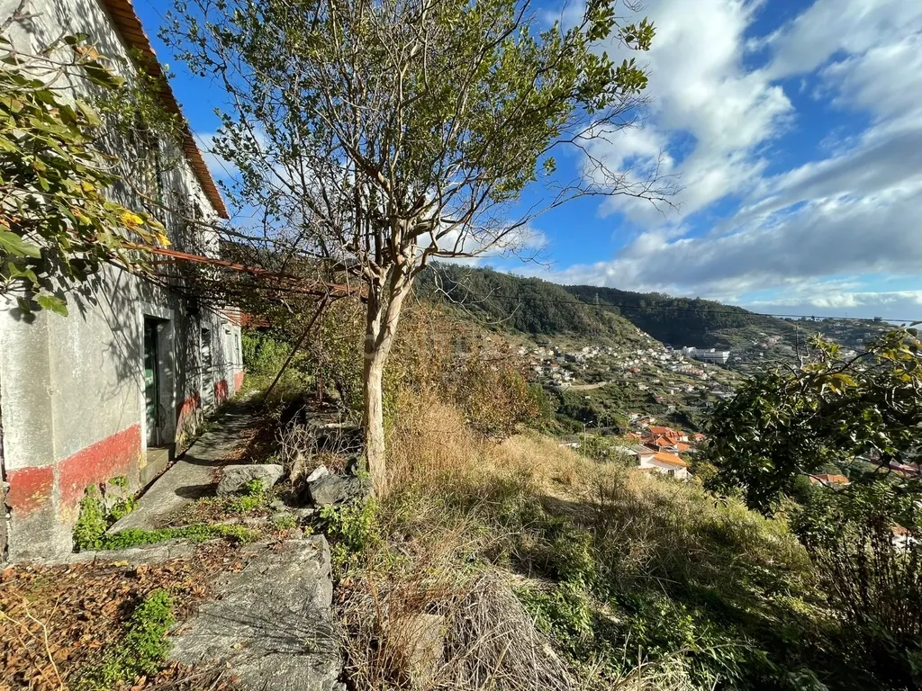 Moradia Antiga T2 (para recuperar) - Campanário - Ribeira Brava - Image 10
