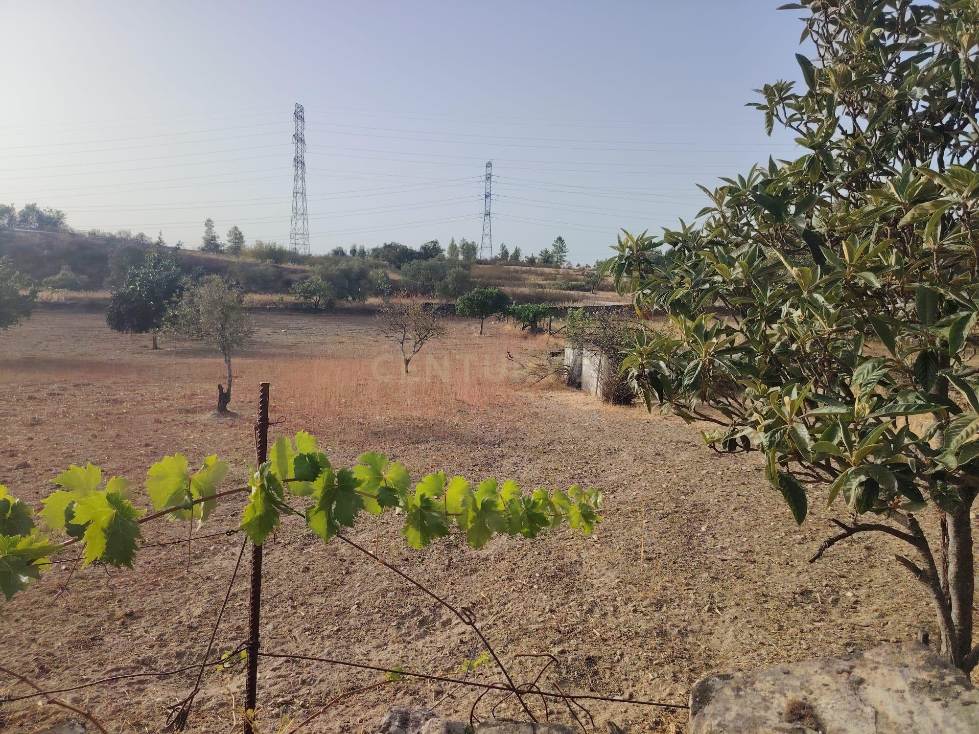 Fotografia 11 de OPORTUNIDADE DE INVESTIMENTO | TERRENO RÚSTICO, AMARELOS
