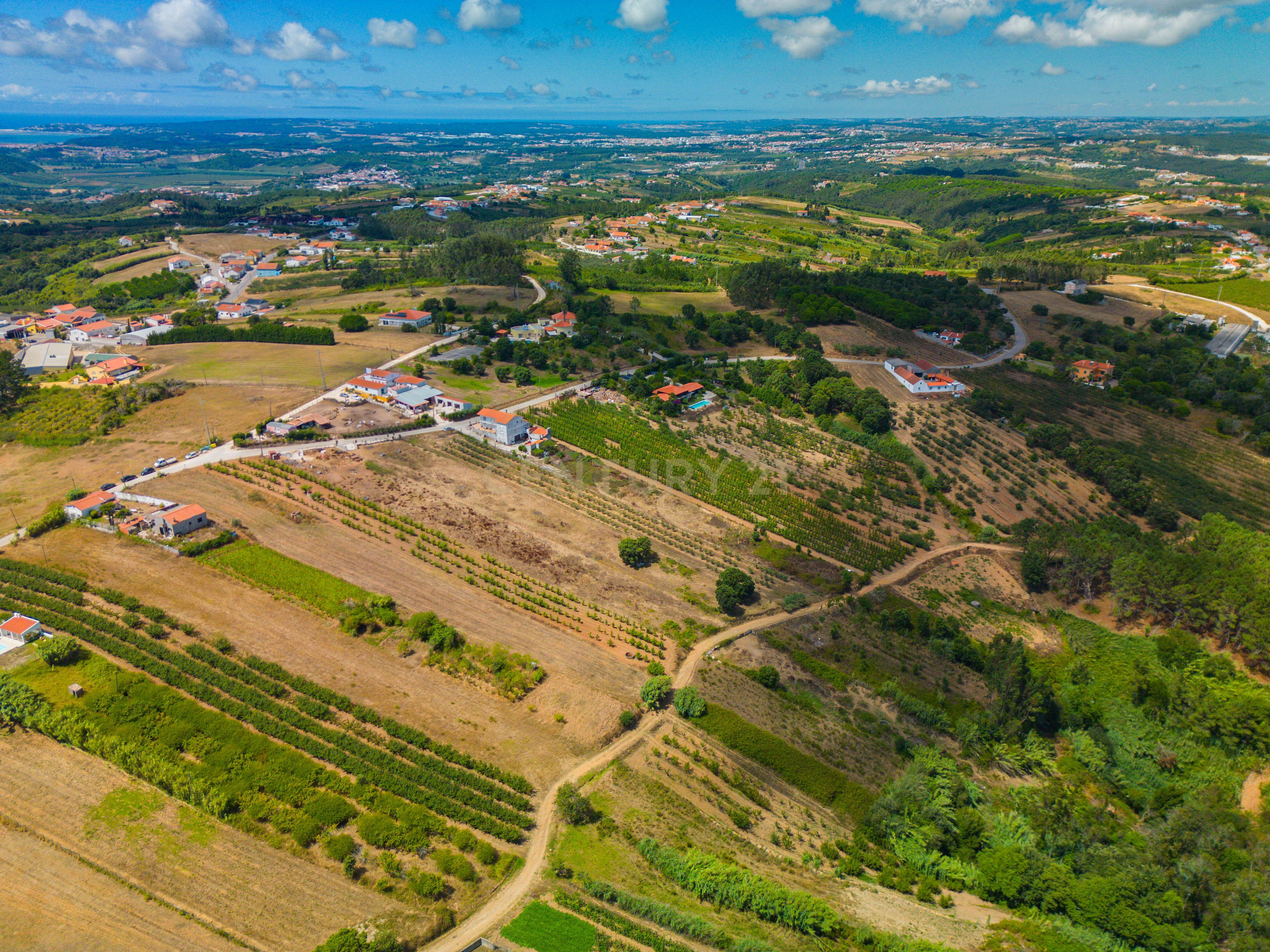 Fotografia 7 de Terreno na Usseira