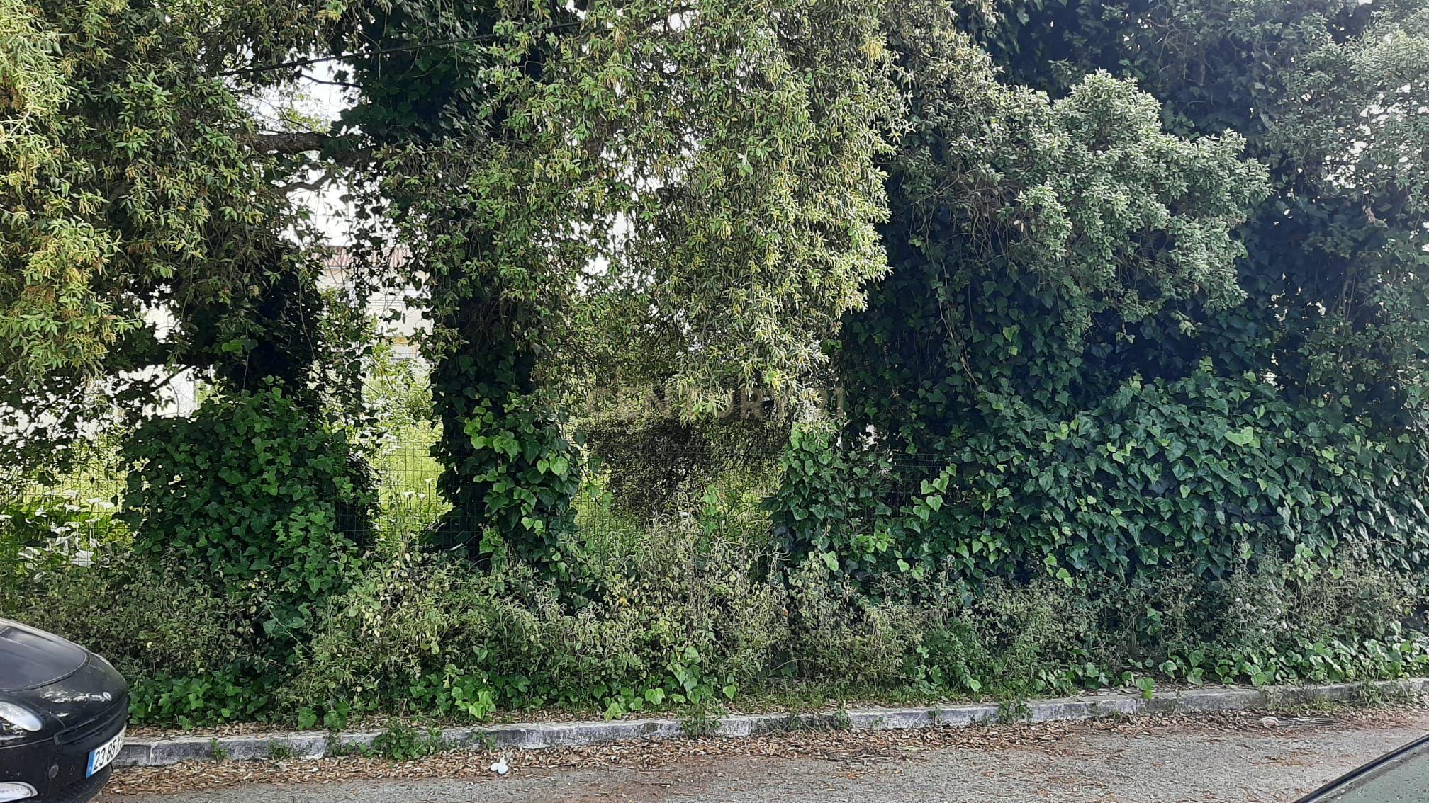 Terreno Urbano nas Quintinhas 600m2 duas frentes de estrada, ótima localização - Image 5