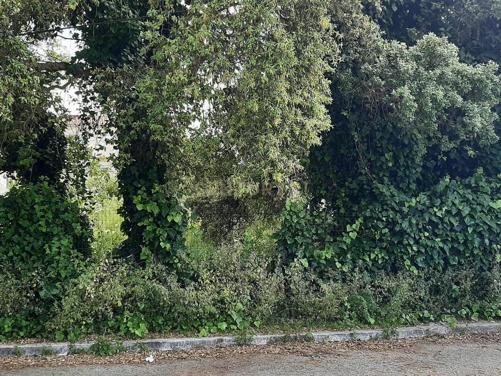 Terreno Urbano nas Quintinhas 600m2 duas frentes de estrada, ótima localização - Image 6