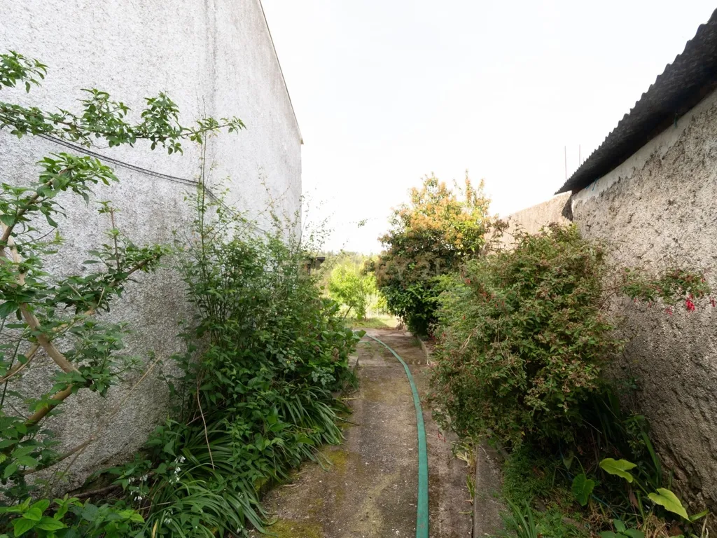 Moradia p/reconstrução com terreno no Forcado – Vila Nova de Poiares - Image 16
