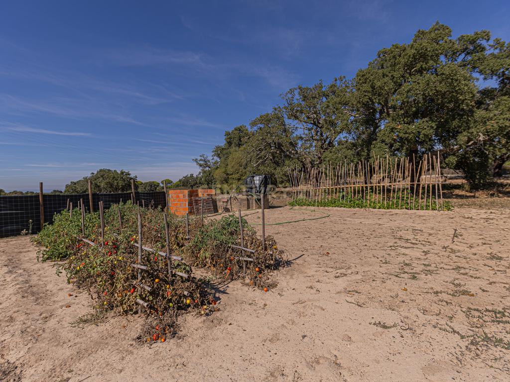 Quinta Rural T3, c/ Terreno 16,775ha, Melides, Grândola - Image 25