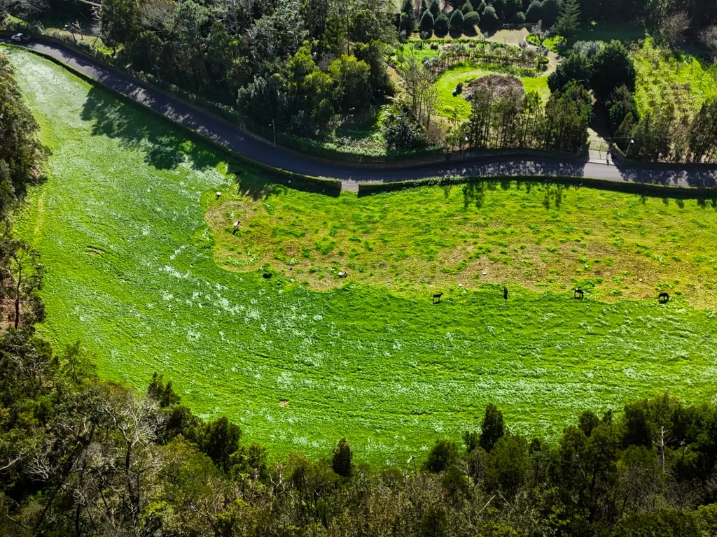 Terreno urbano para construção na Caloura, Lagoa - Vista Mar - Image 5