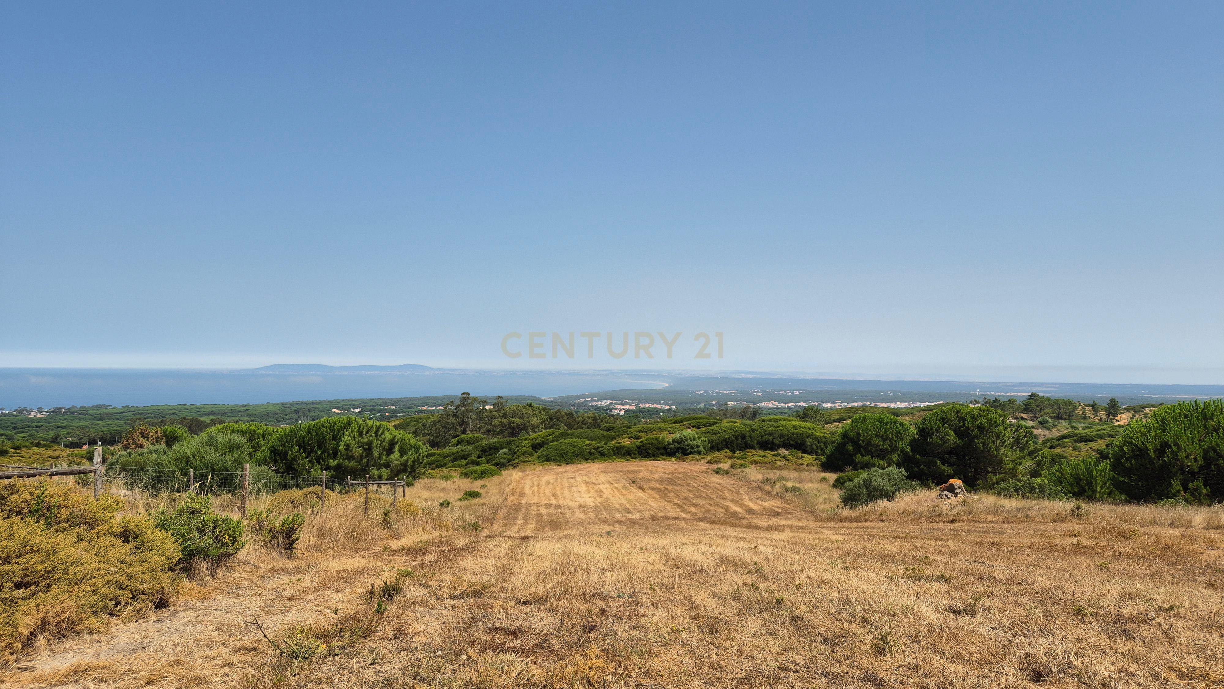 Fotografia 6 de Terreno com Vista Mar e Lisboa na Azoia (15.700 m²) | PIP Aprovado para Moradia + Cave