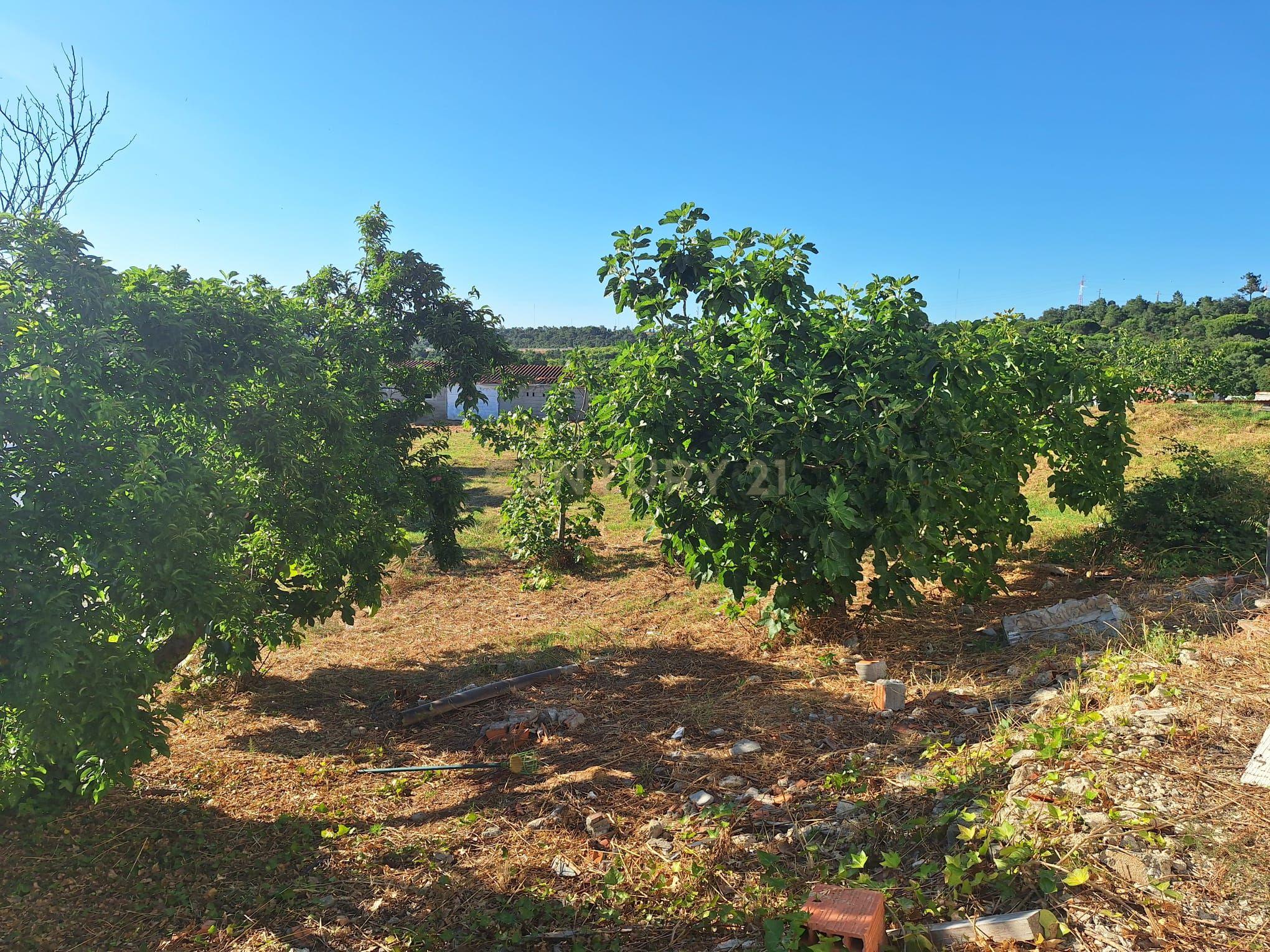 Moradia T3 à venda em Palhais e Coina, Barreiro — foto 26