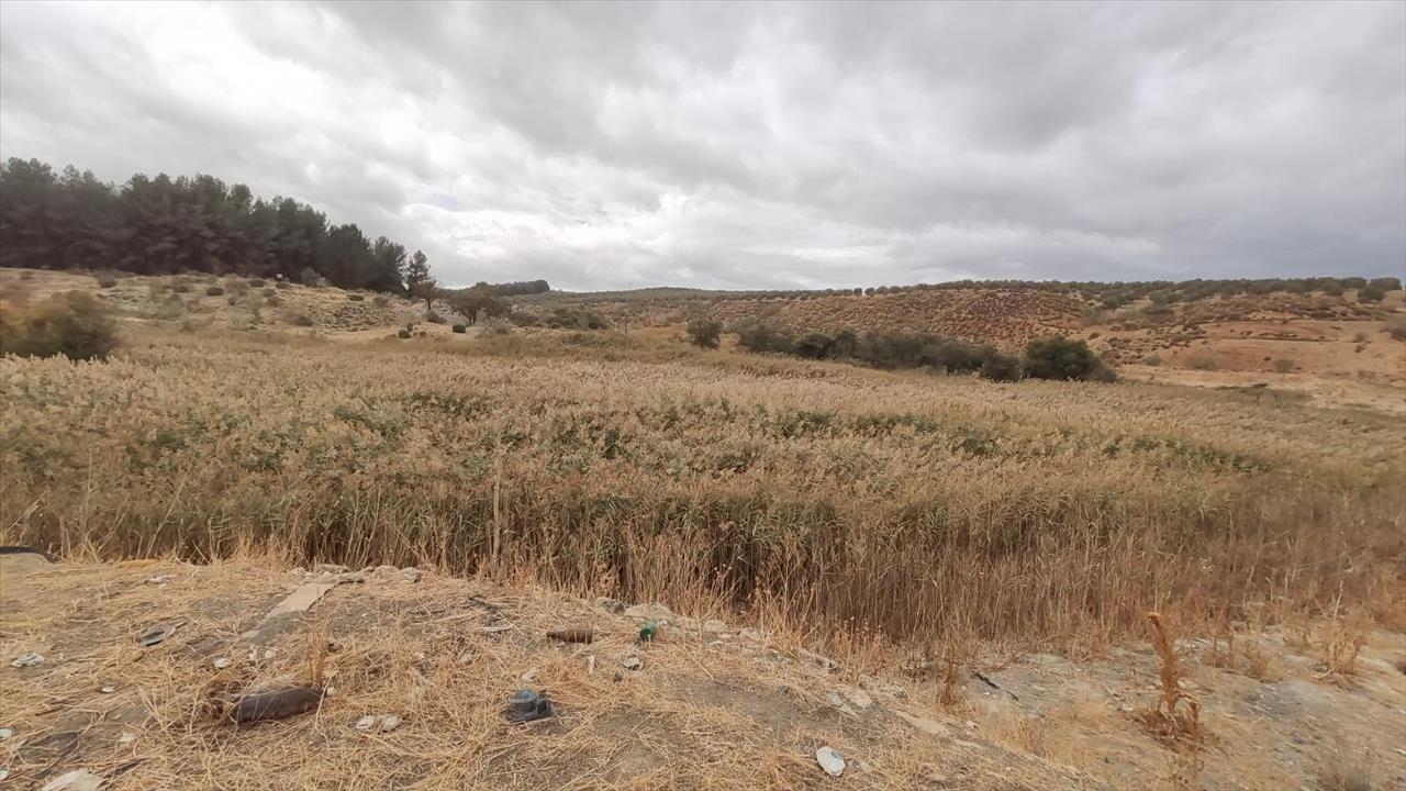 Terreno - Image 2
