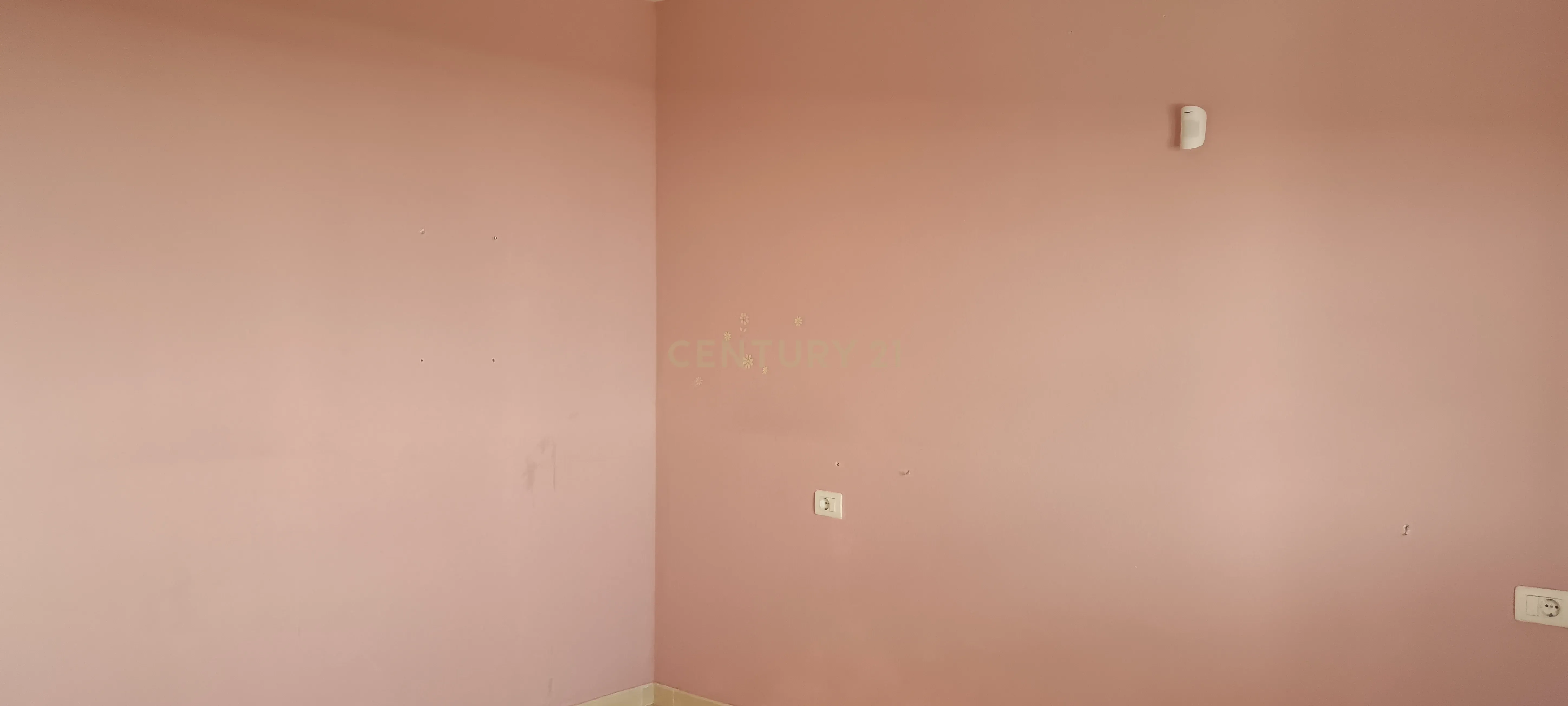 - Image 17