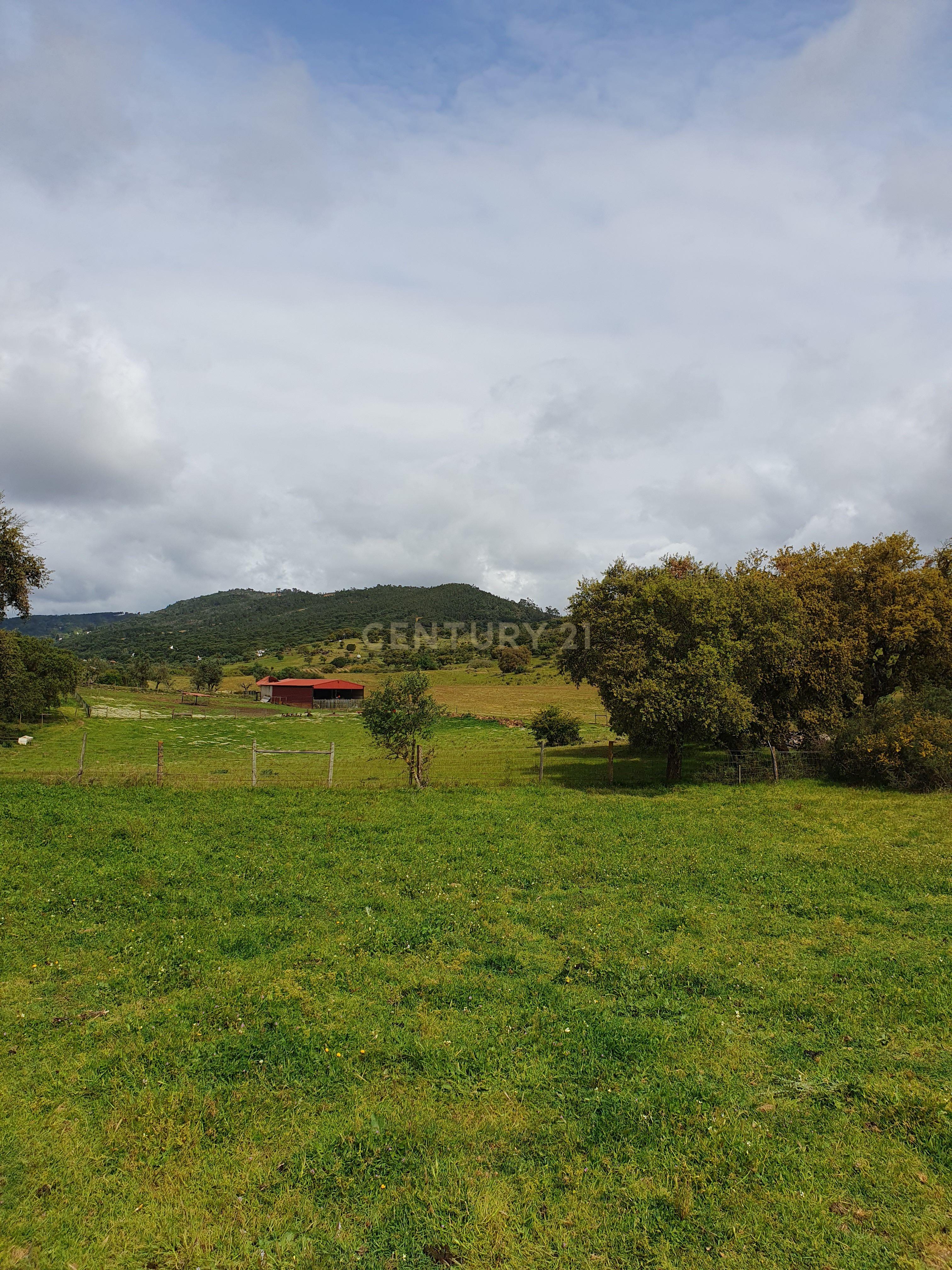 Fotografia 6 de Terreno Urbano na Serra D`Ossa Redondo