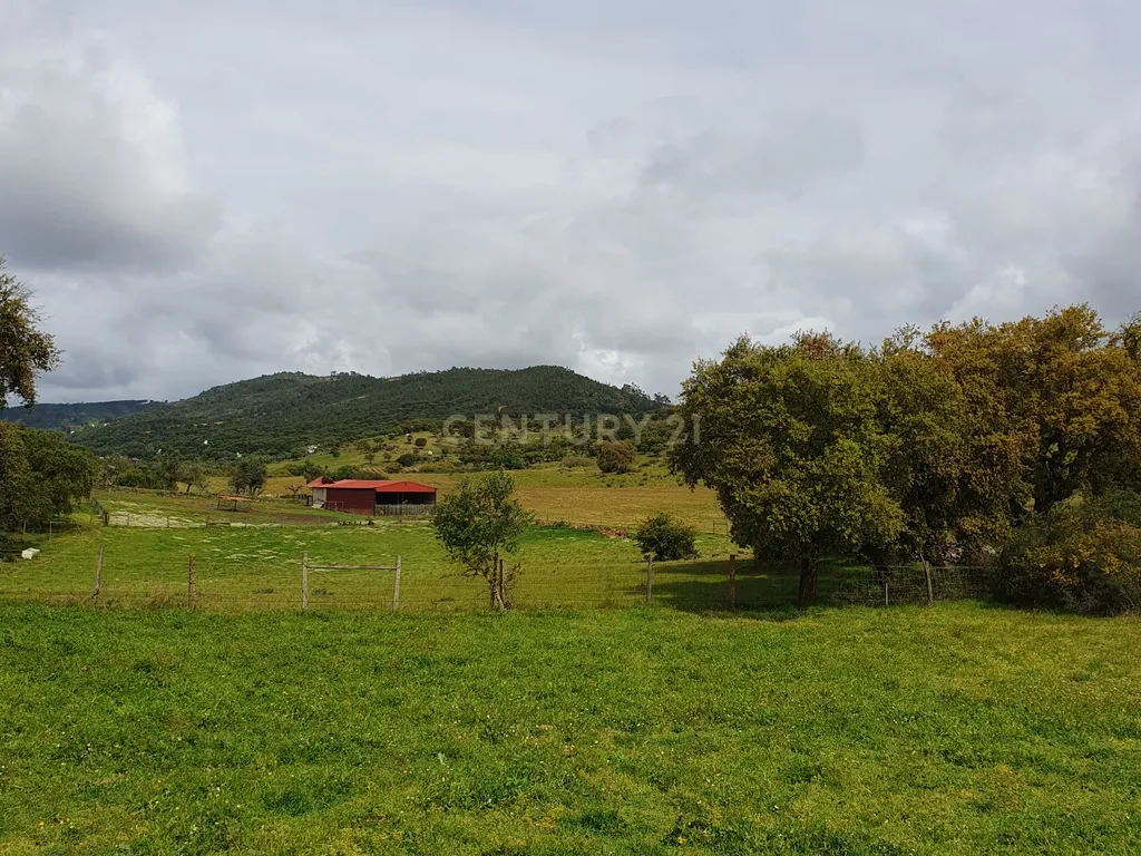 Terreno Urbano na Serra D`Ossa Redondo - Image 6