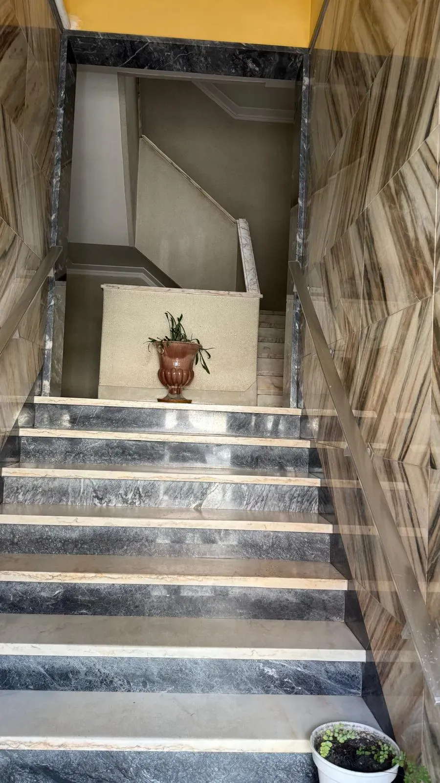 T2 Ameixoeira, para remodelação - Image 10
