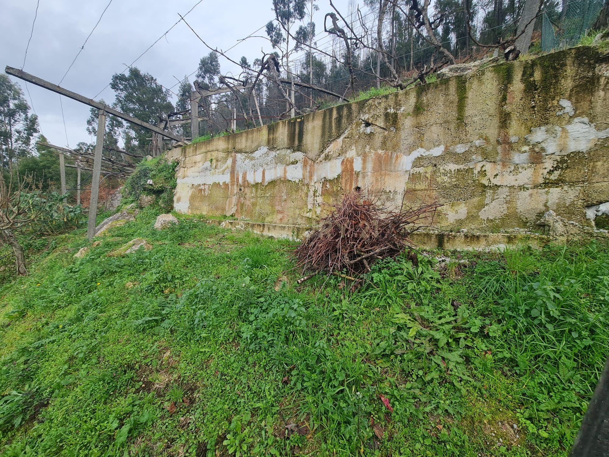Fotografia 9 de TERRENO RÚSTICO, PENAFIEL, CAPELA (apenas venda conjunta com a referência C0188-01895)