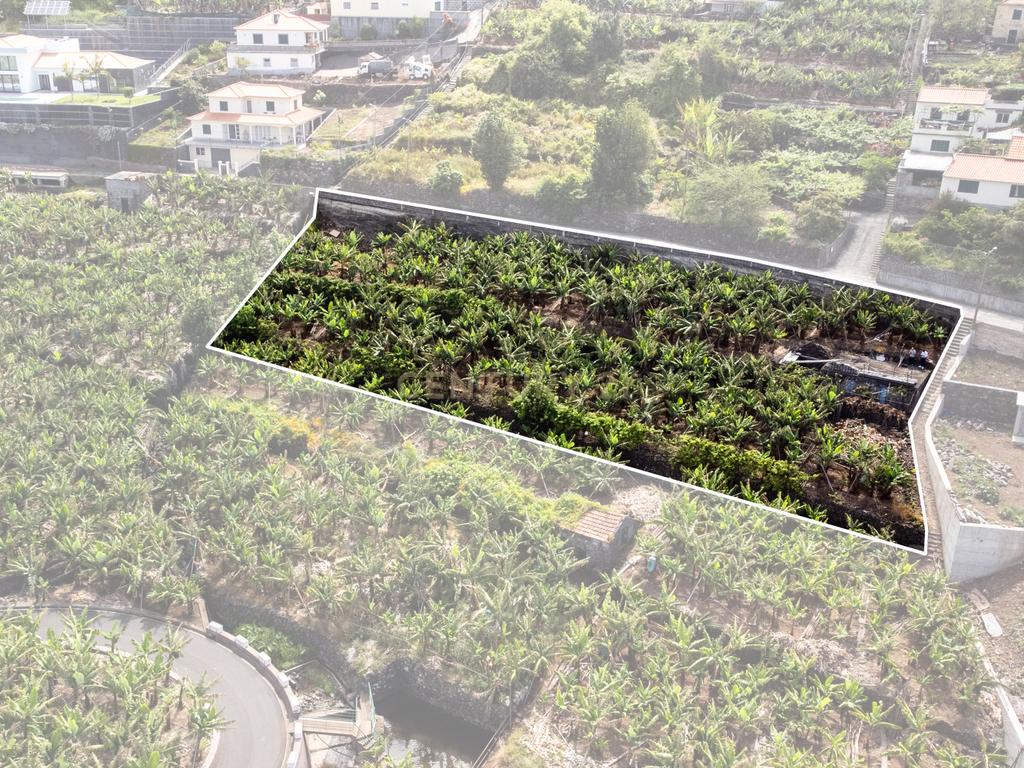Terreno para construção 1946m2 - Arco da Calheta - Image 3