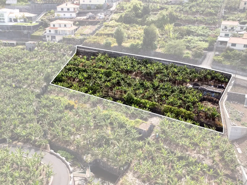 Terreno para construção 1946m2 - Arco da Calheta - Image 3