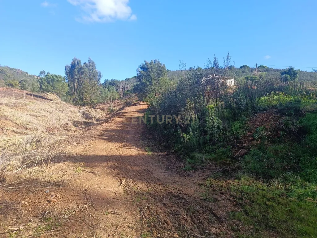 Terreno Misto com 3,66HA - Perna Seca - S. B. Messines - Image 36