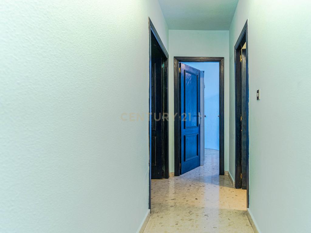 - Image 24