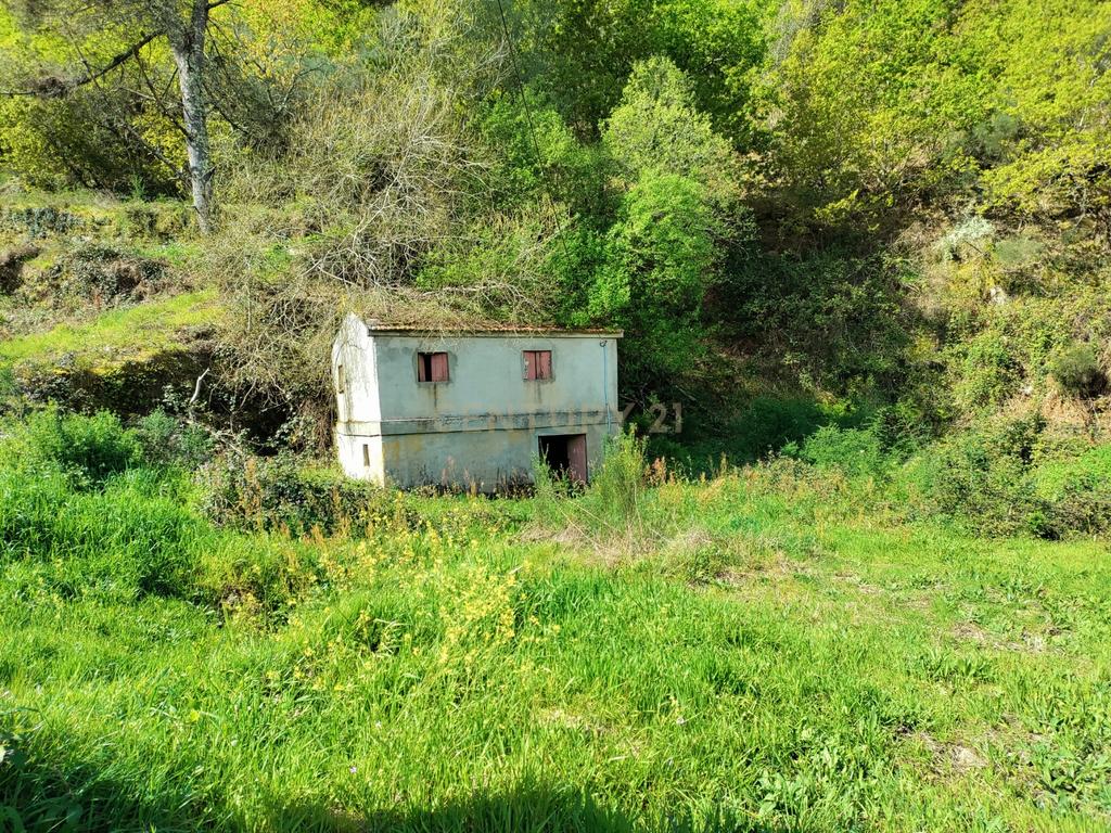Quinta com moradia em Gondar, perto da Amarante, Porto à face da estrada com muito terreno e água - Image 9
