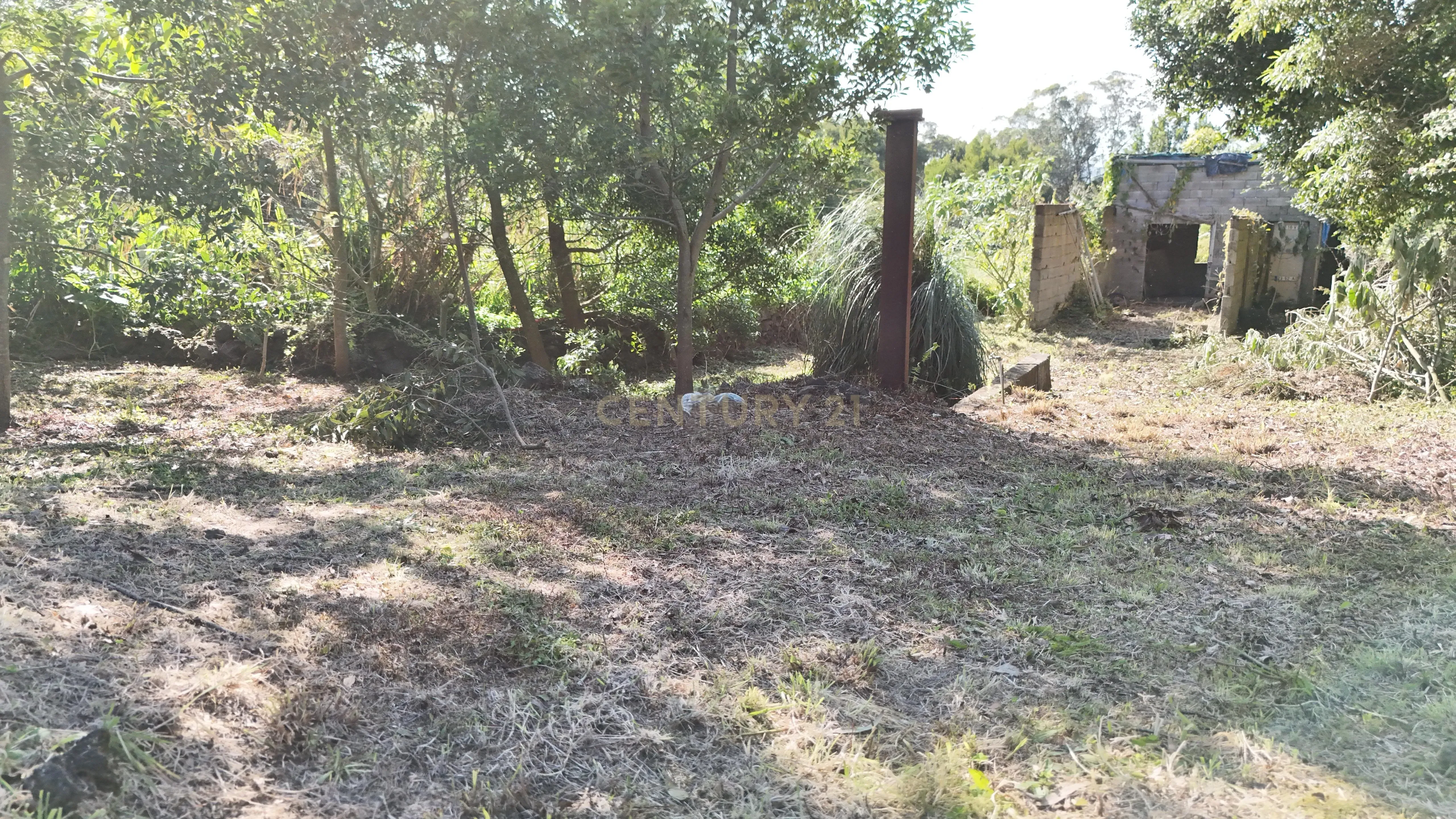 Terreno com PIP Aprovado para Moradia T3 | Cabouco – Lagoa - Image 10