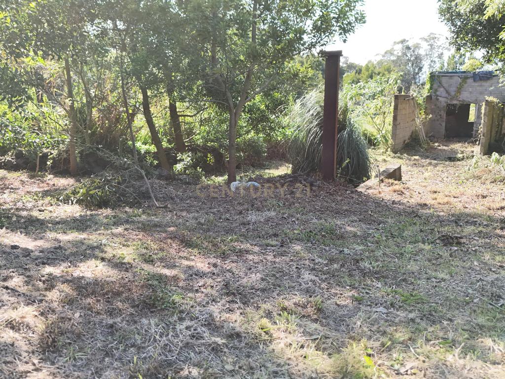 Terreno com PIP Aprovado para Moradia T3 | Cabouco – Lagoa - Image 10