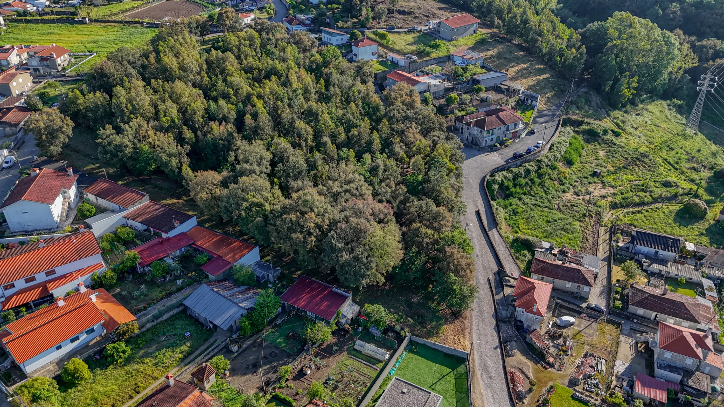 Terreno com 14.000m2 próximo ao Centro de Santo Tirso - Image 8