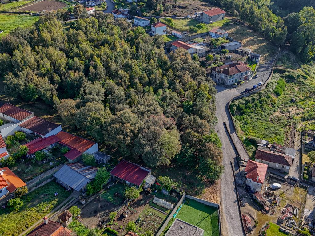 Terreno com 14.000m2  próximo ao Centro de Santo Tirso - Image 8