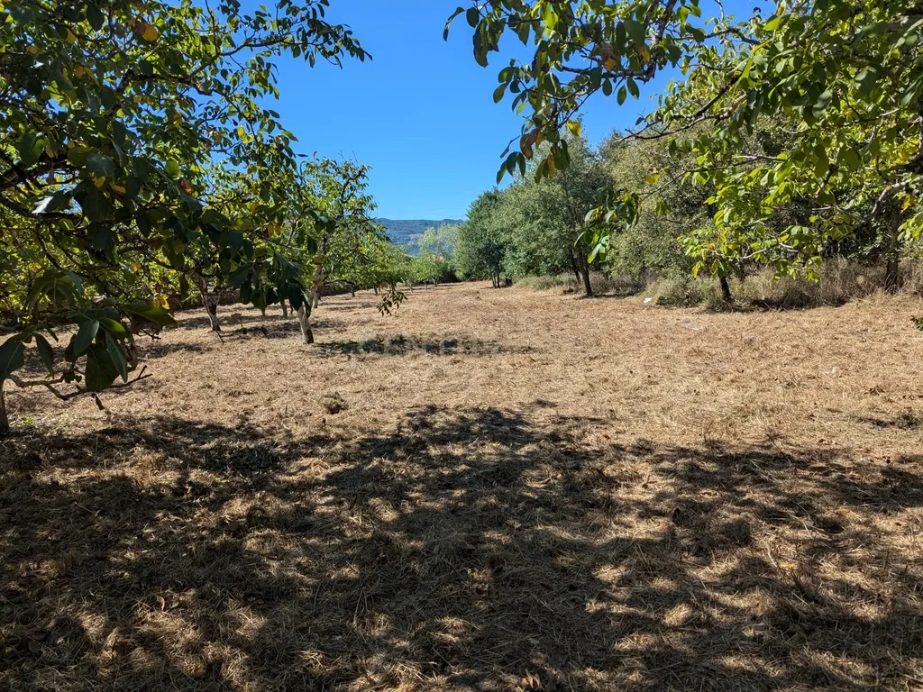 Terreno Viabilidade Construção em Espinhal, Penela – Excelente Oportunidade de Investimento - Image 5