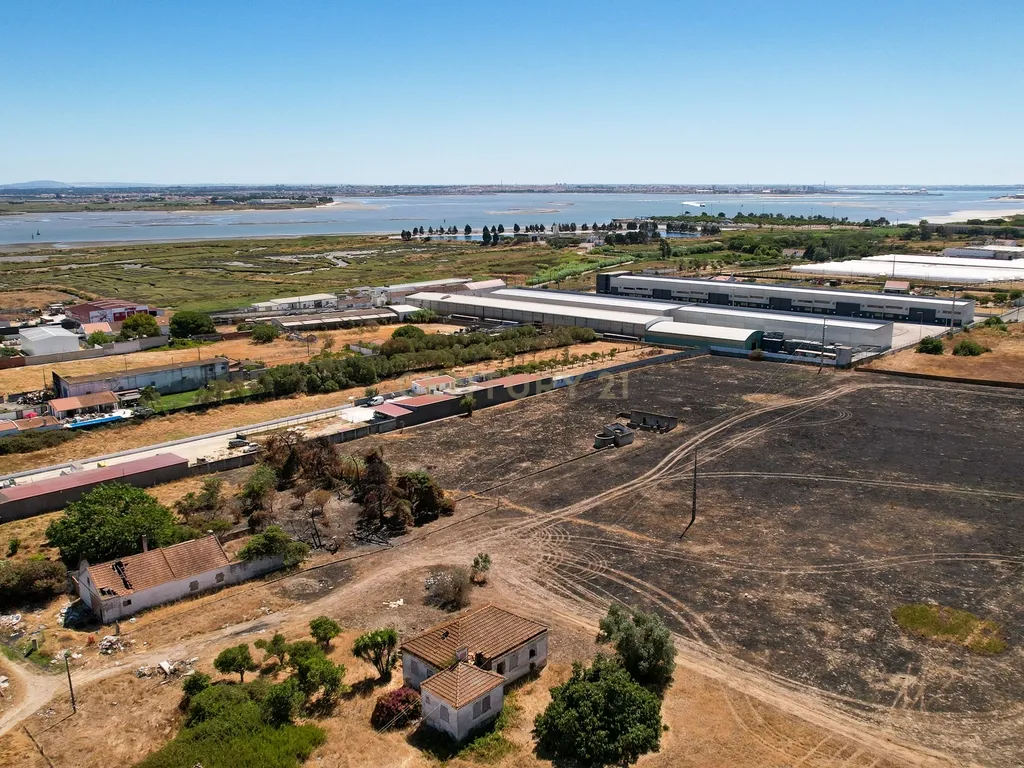 💥 Terreno Rústico com 10.105 m² em Zona Industrial – Montijo - Excelente Investimento! 💥 - Image 2