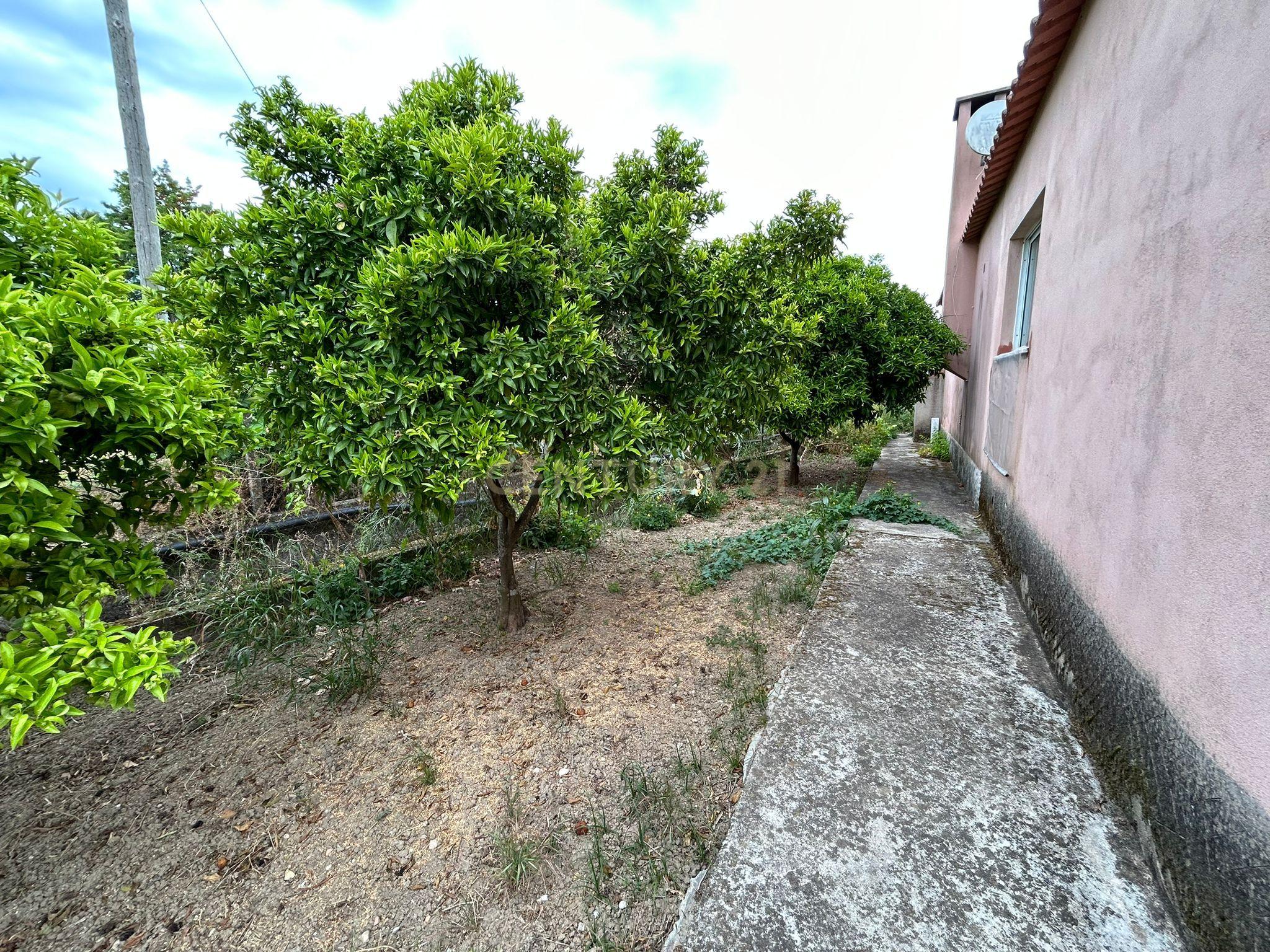 Quinta T3 em São Lourenço - Tomar - Image 18