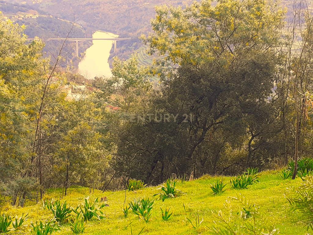 Belíssima ruína em terreno verdejante com vista deslumbrante para o Rio Douro, Baião, Porto - Image 5