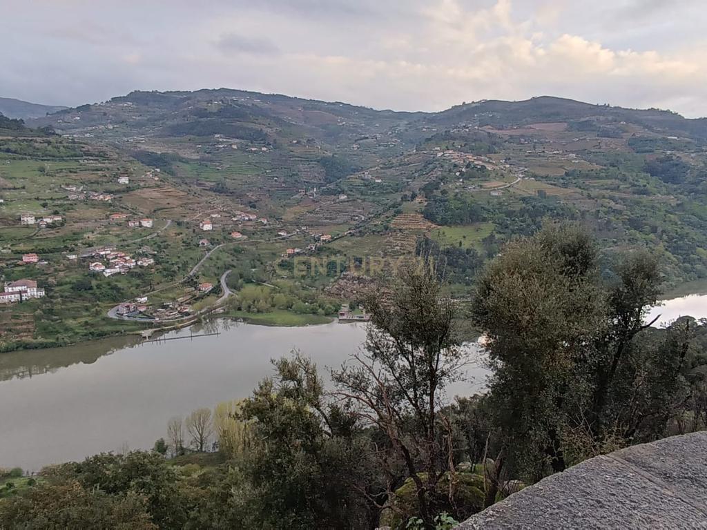 Terreno florestal com vista para a praia fluvial de Porto de Rei em Barqueiros, Mesão Frio às portas do Douro - Image 41