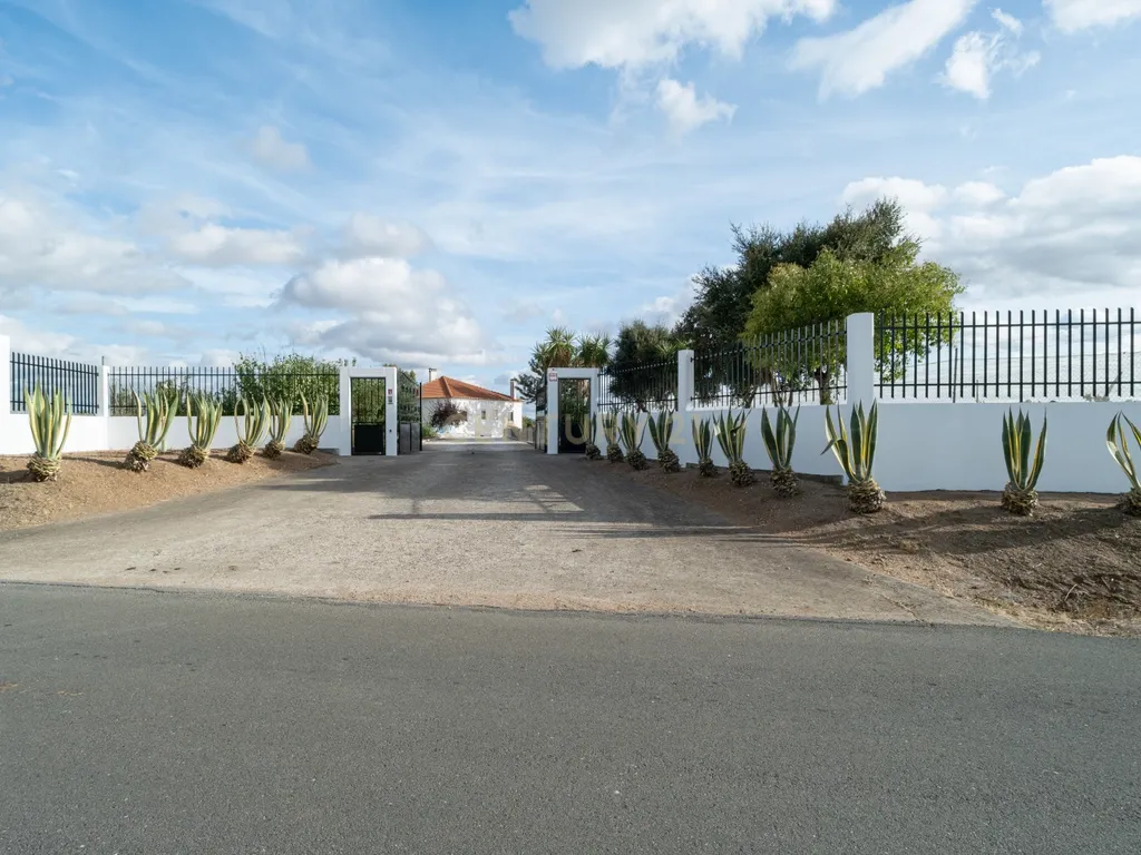 🌿 Quinta com Moradia T4 e Piscina | 3,25 hectares| Olival | Vinha| Amareleja, Alentejo - Image 3