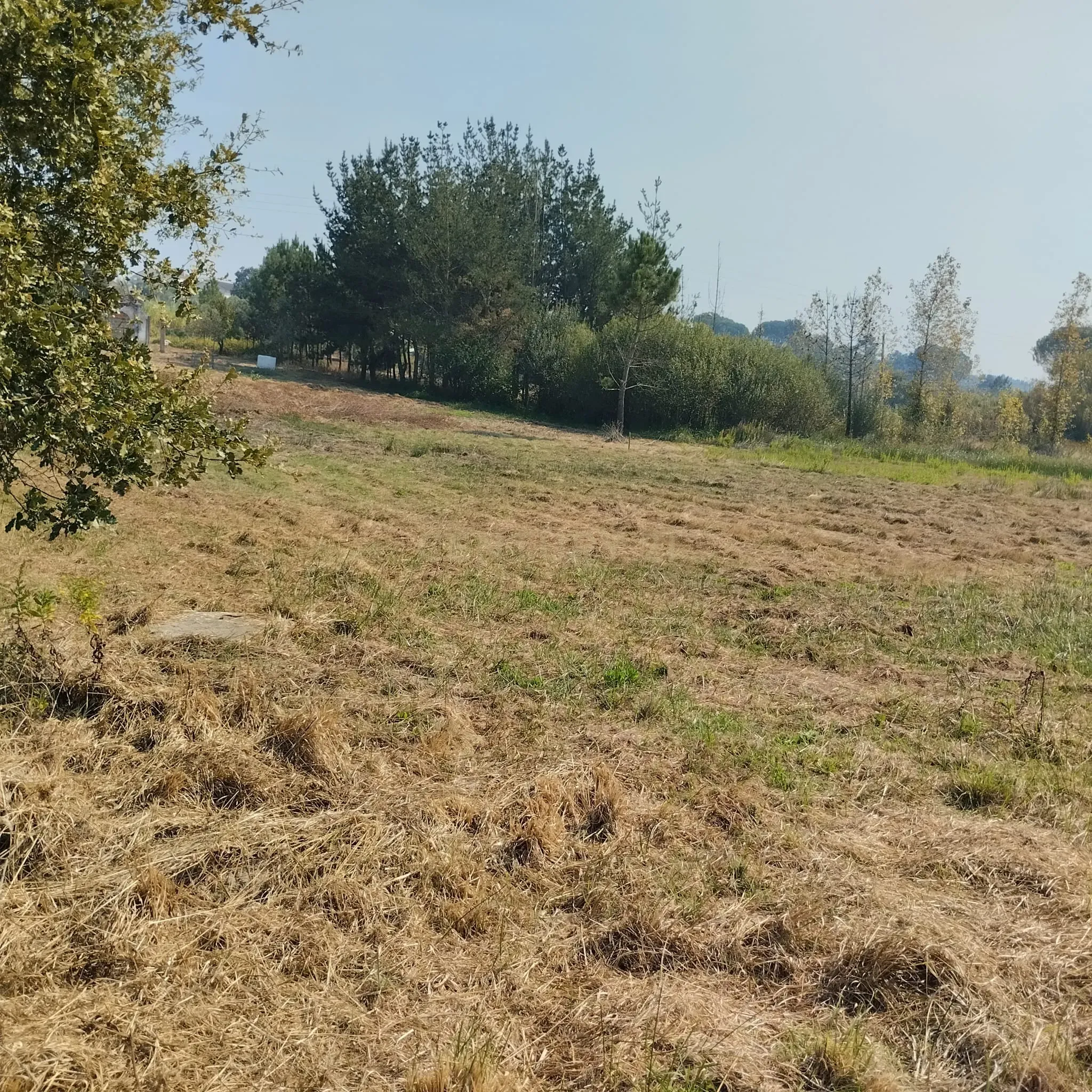 Moradia em Meires, Pelariga Pombal - Image 23