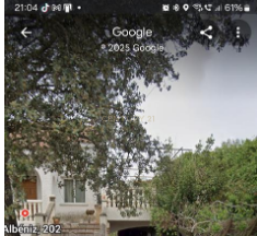 - Image 7